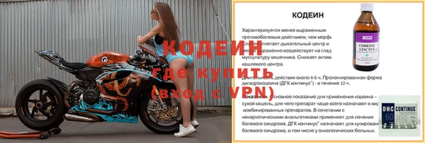 прущие грибы Белокуриха