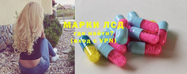 прущие грибы Белокуриха