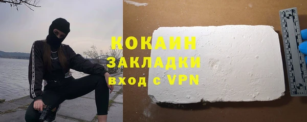 прущие грибы Белокуриха