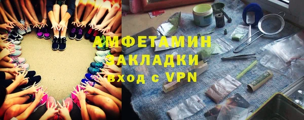 прущие грибы Белокуриха