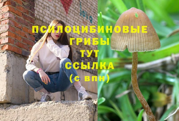 каннабис Богородск