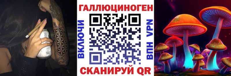 Галлюциногенные грибы Psilocybine cubensis  Козловка 