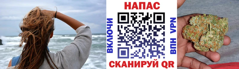 МАРИХУАНА SATIVA & INDICA  что такое наркотик  Козловка 